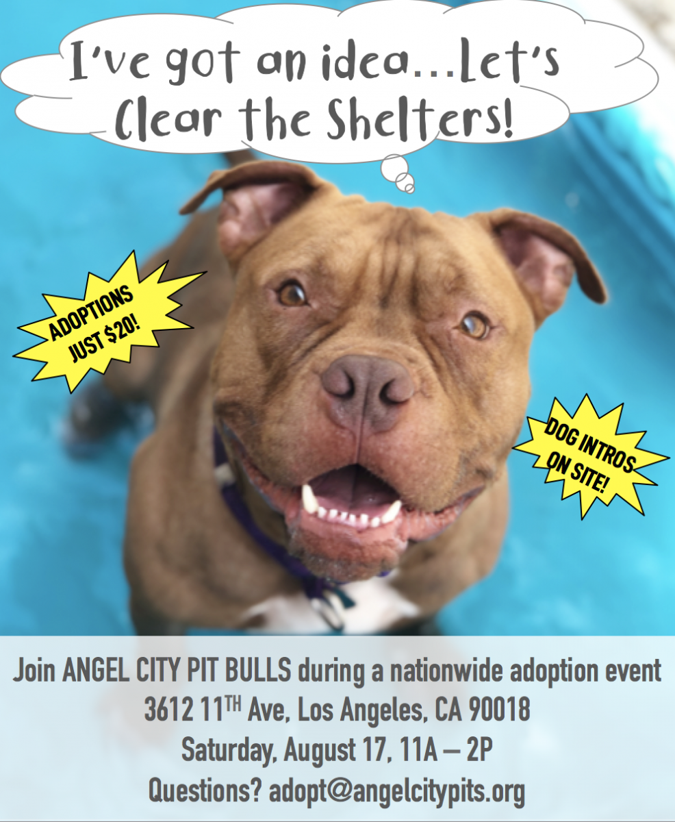 Clear The Shelters Angel City Pit Bulls Los Angeles Dog Rescue
