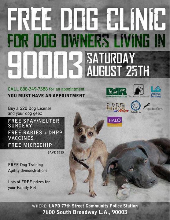 Free Dog Clinic | Angel City Pit Bulls | Los Angeles Dog Rescue