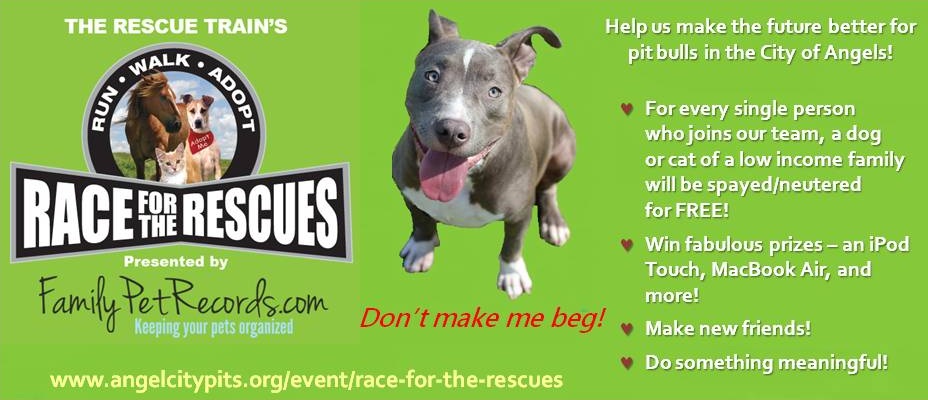 Race For The Rescues | Angel City Pit Bulls | Los Angeles Dog Rescue